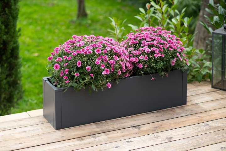 WESTMANN Pflanzkübel Talus